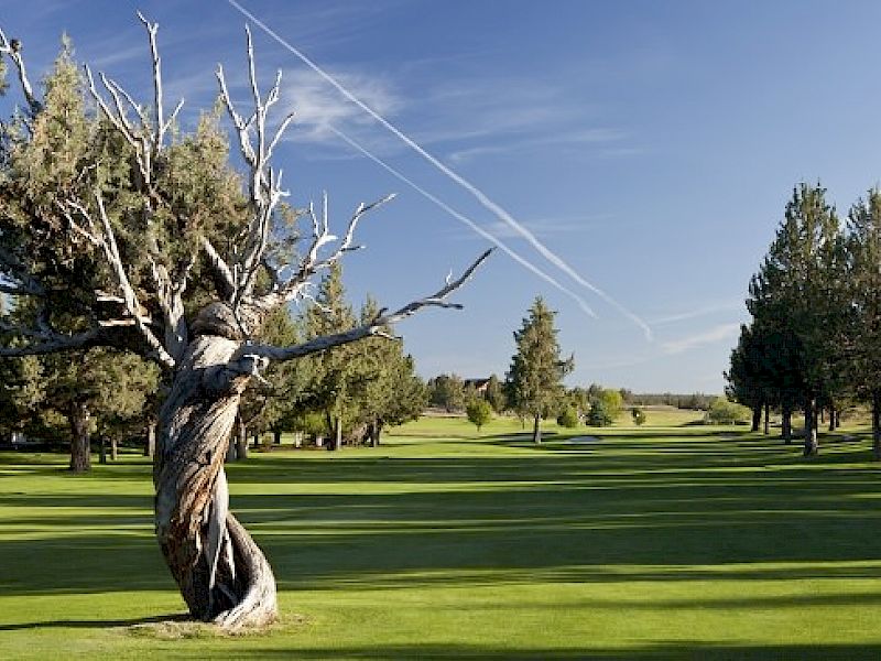 Golf Vacation Packages Eagle Crest Resort Oregon